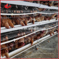 Galvanisiertes Draht-Material und Stahlrahmen-Art geschweißter Draht-Hühnerschicht-Käfig für Geflügel-Bauernhof in Afrika